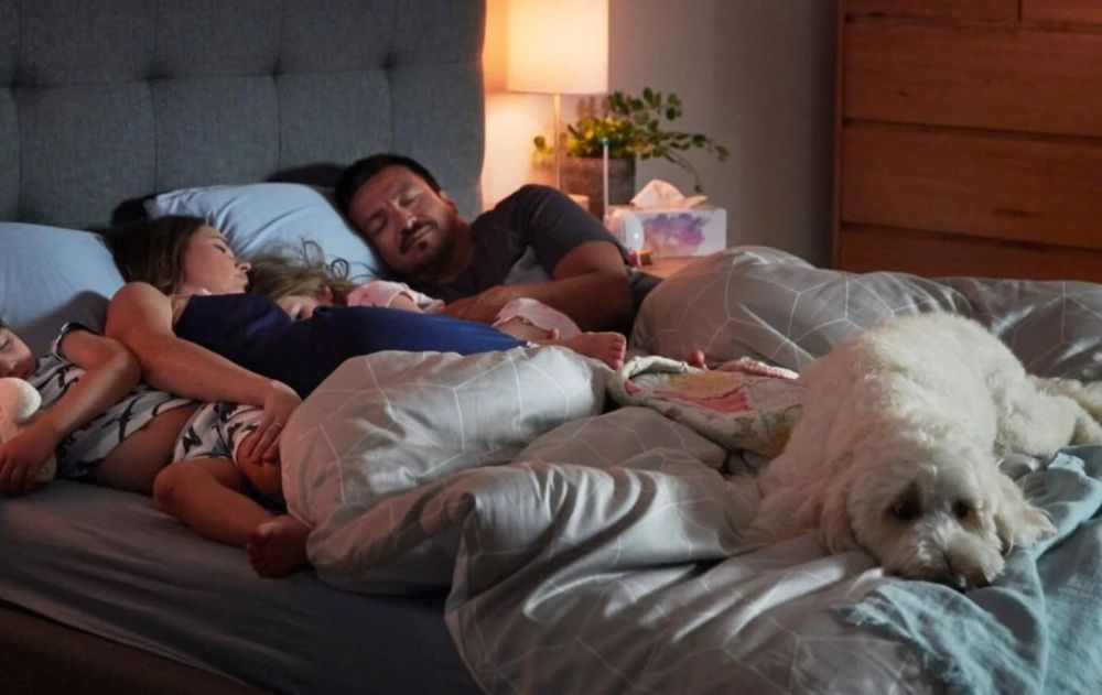 Esta conexión emocional entre personas y mascotas fortalece las relaciones humanas y mejora la salud mental.