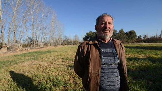 Roberto Fadin recorre su campo sembrado con forraje más resistente a la falta de agua para alimentar su ganado / Foto: Claudio Gutiérrez - Los Andes