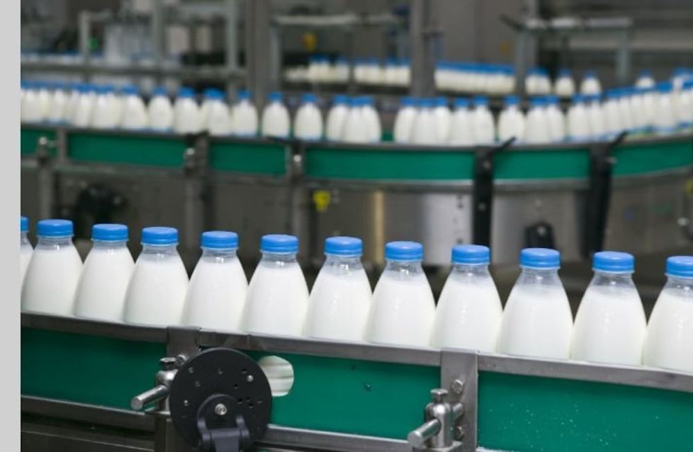 Paro de trabajadores lácteos: desde la industria advierten por posible desabastecimiento