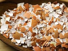 Un pequeño cambio de hábito en casa, logra un impacto instantáneo en el jardín. Un pequeño cambio de hábito en casa, logra un impacto instantáneo en el jardín.