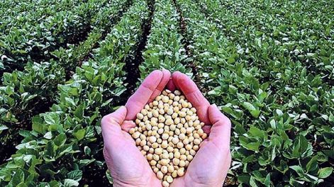 Lo que viene... la riqueza dormida  del agro chino - Por Jorge Castro