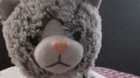 De la búsqueda a la extorsión: pagaron $200 mil para recuperar el peluche de su hijo con autismo en Tunuyán