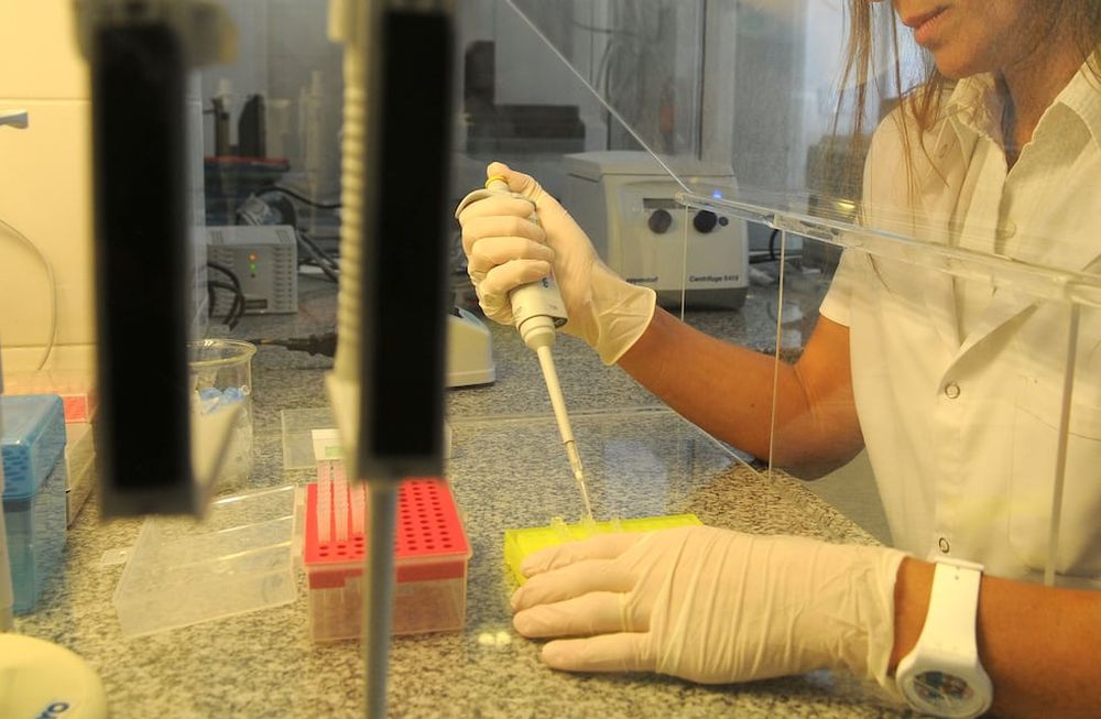 En un día, el laboratorio de ADN resolvió 8 delitos cometidos hace años en Mendoza