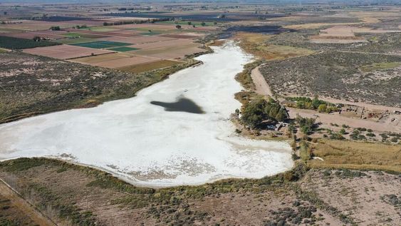 La laguna del Viborón prácticamente seca, con los campos agrícolas cultivados en su proximidad y la presencia del Club Cristóbal Colón, bajo la sombra de los árboles plantados por los primeros socios. Fuente: Los Andes