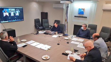 La asamblea anual de ProMendoza se realizó de forma virtual.
