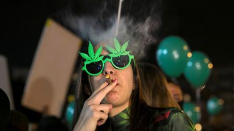 Canadá busca catadores de porro  y paga 50 dólares la hora