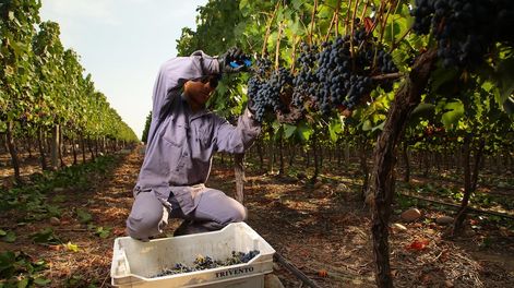 Alta Ya es una herramienta de AFIP que facilita la registración de trabajadores, en especial cuando se trata de ingresos provisorios, por actividades de temporada