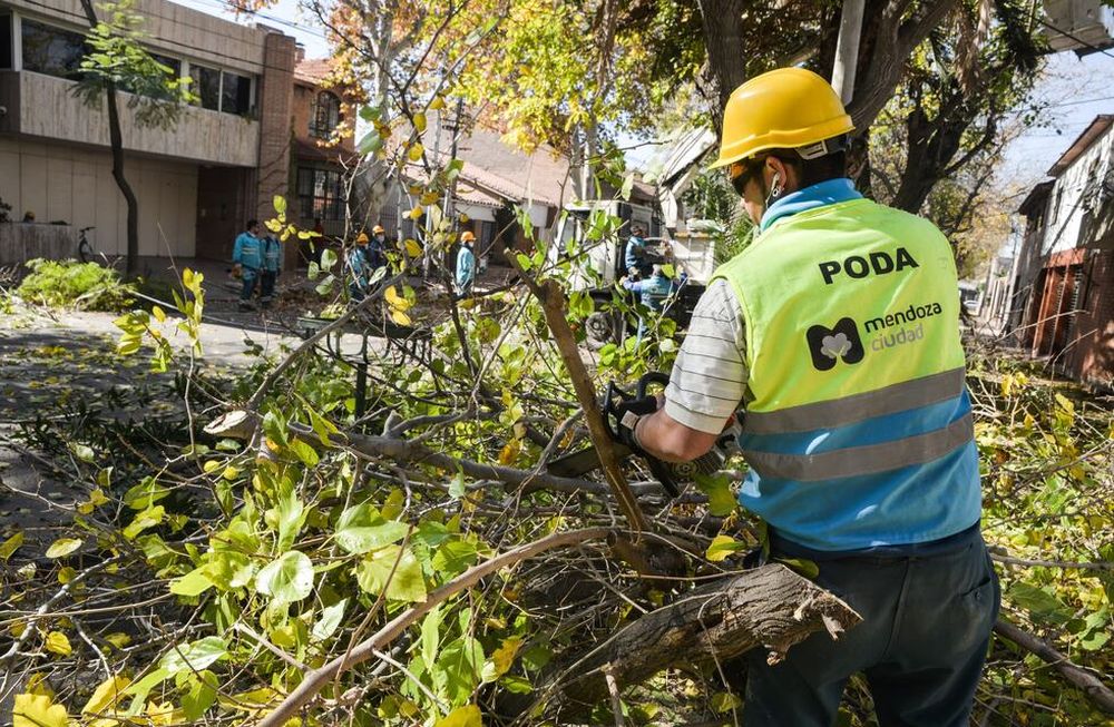 La Ciudad te informa el nuevo itinerario semanal de bacheo, poda y limpieza