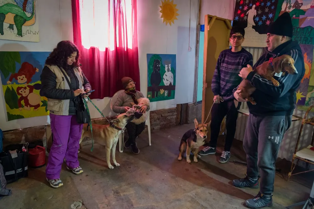 No pueden cruzar a Chile con sus perros y los abandonan: triste realidad que pone en riesgo a la fauna protegida. Foto: Gobierno de Mendoza