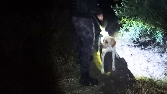 “Fito”, el can policial heroico en Rivadavia.