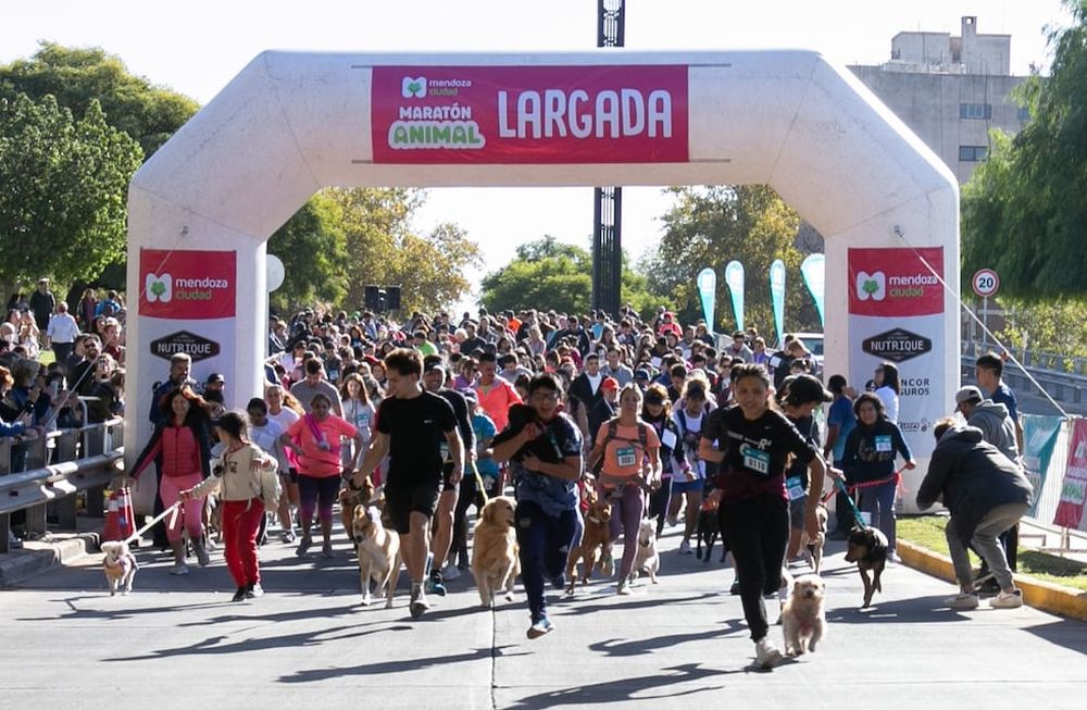 Más de 1.500 personas participaron con éxito de la Maratón Animal Ciudad de Mendoza