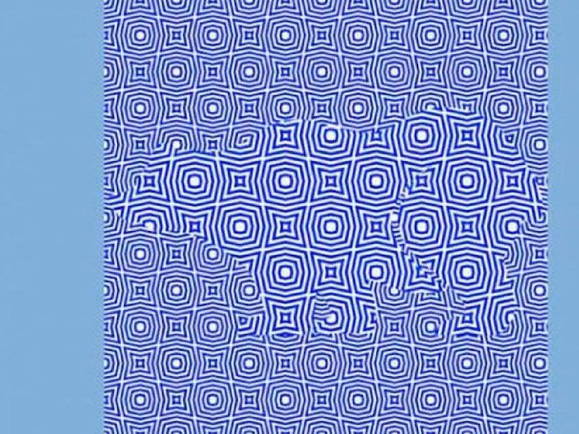 ¿Qué ves primero? Afiná tu visión en este reto