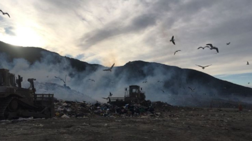 Analizan si un basural en Ushuaia originó el brote de hantavirus en el crucero