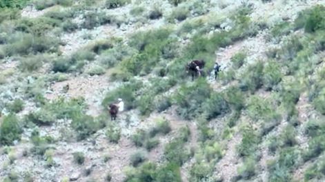 Se descompensó en el Cerro Las Cabras, siguió ascendiendo y retrasó el rescate.