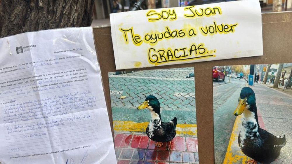 Largas colas en el KM 0 para firmar por el pato Juan. A pesar de que la municipalidad dice que 