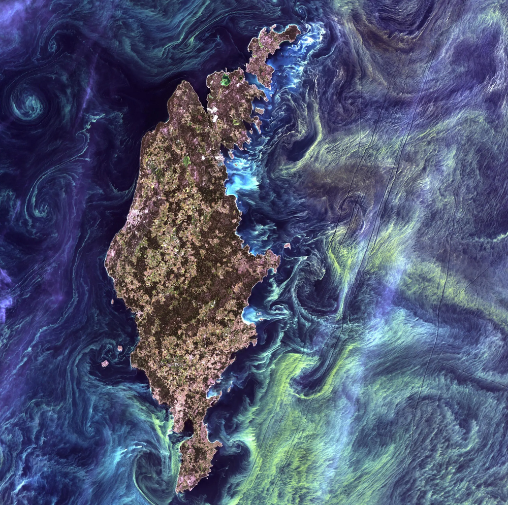 La NASA descifró el enigma de las aguas color turquesa en la plataforma continental, Malvinas incluidas.