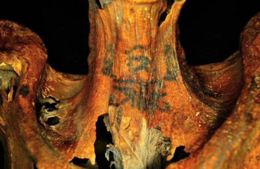 La calidad de los tatuajes de una momia de 3.000 años ha sorprendido a los científicos
