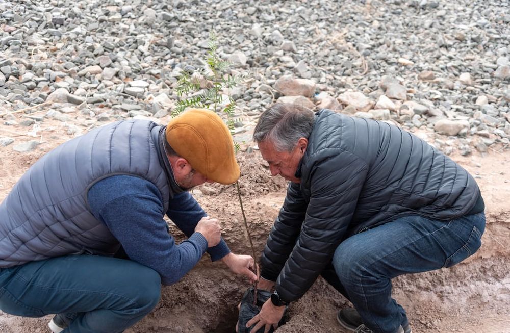 Reforestación: se plantarán 756 árboles en una obra que Irrigación inauguró en marzo