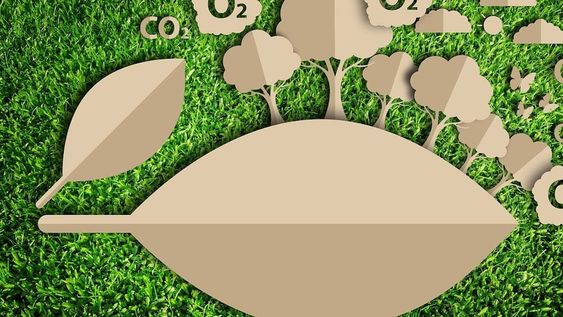 Mendoza será sede internacional para la validación de emprendimientos de impacto