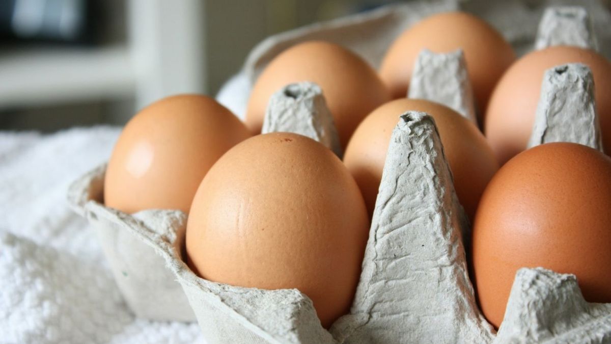 Cuántos huevos deben comerse todos los días y qué consecuenc