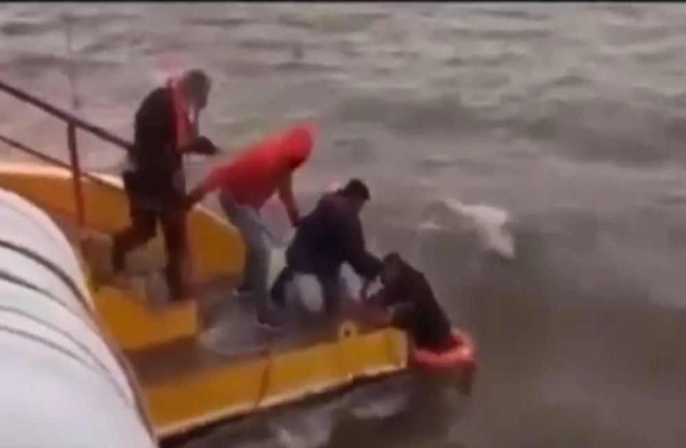 Los náufragos fueron encontrados desde un buque carguero en la “Zona Común” del Río de la Plata. En las cercanías de ellos se encontró un cadáver.