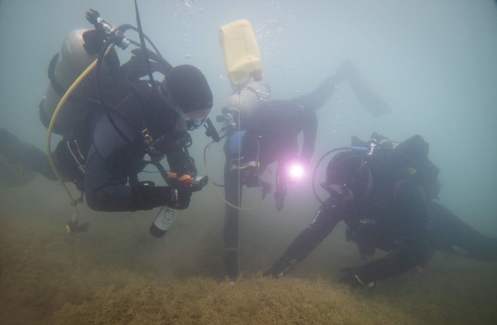 Tres bodegas bajaron botellas de distintos vinos para lograr una evolución diferente y las abrirán en el mes de enero. - Ignacio Blanco / Los Andes