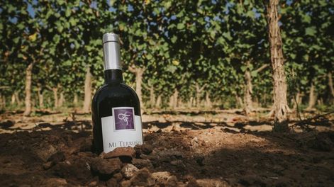 Los elegidos de Mi Terruño para la Feria de Vinos de Guarda14