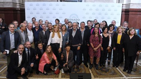 Los Andes | Los representantes del kirchnerismo en el Senado.