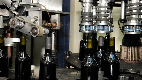El vino argentino registró una disminución del 5,1% en sus exportaciones en comparación con febrero de 2024.