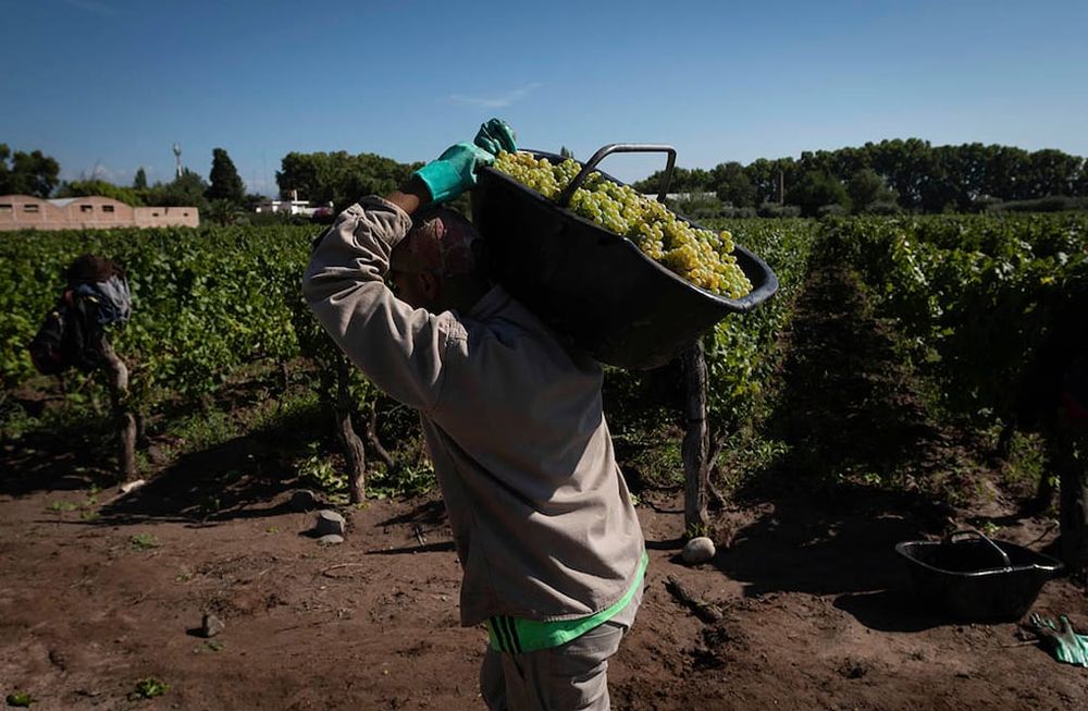 Las mejoras de precios impulsan la facturación del sector externo, pero retraen el consumo dentro del país. / Foto: Ignacio Blanco / Los Andes