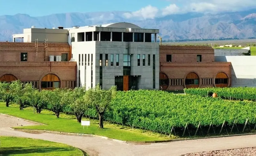 Investigan presunta administración fraudulenta en Bodega Monteviejo