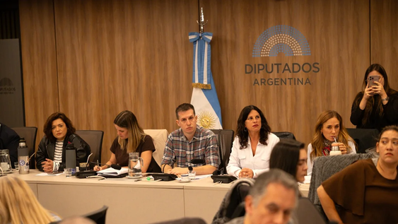 Diputados: insisten con el pedido de juicio político a Lugones por los recortes en Discapacidad