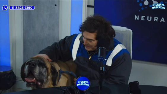 Javier Milei presentó a Conan en una entrevista solidaria: “Este es uno de los cinco”.