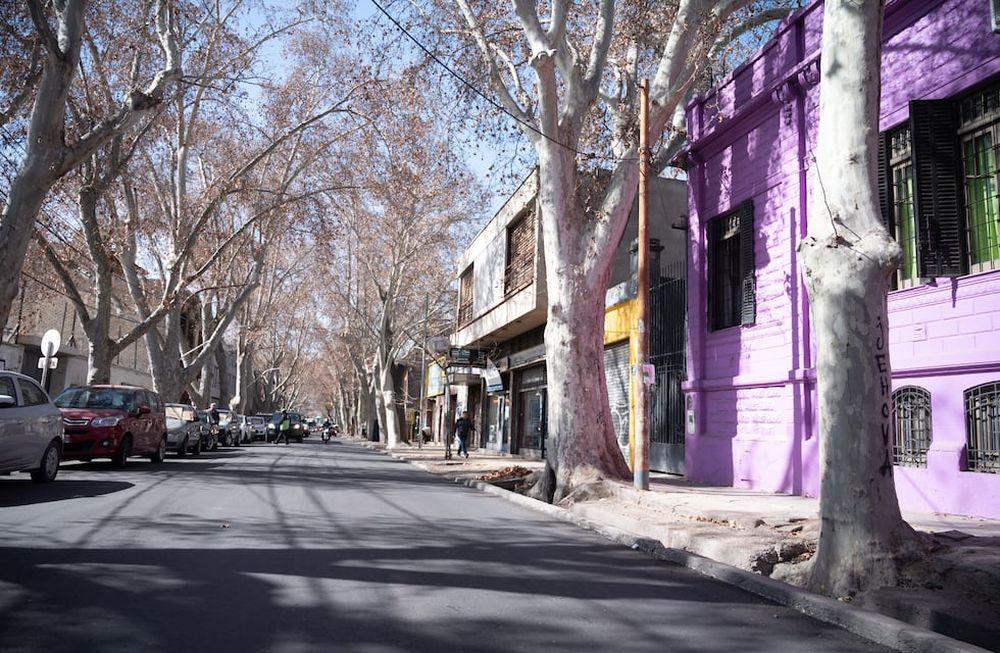 La Ciudad habilitó el paso vehicular en calle Catamarca