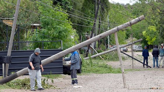 En Las Heras, donde todavía hay vecinos sin servicio, el Zonda derribó 600 postes de luz y 495 árboles. | Foto: Orlando Pelichotti / Los Andes