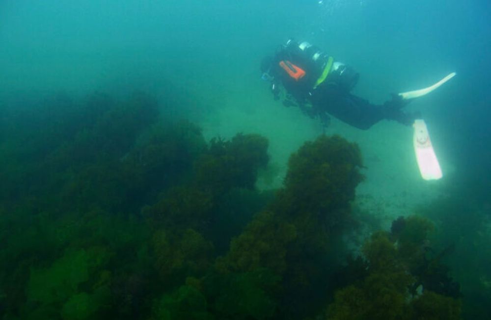 El mar argentino guarda un valioso patrimonio cultural: el fondo y sus costas guardan parte de la historia del país donde han ocurrido al menos 2.000 naufragiosUna campaña nacional busca preservar y generar conciencia sobre su valiosa riqueza.