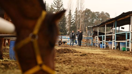Maipú Municipio entregó a la Asociación PEMPA dosis de diferentes vacunas para que puedan aplicarse a los equinos que se encuentran en la sociedad protectora PEMPA.