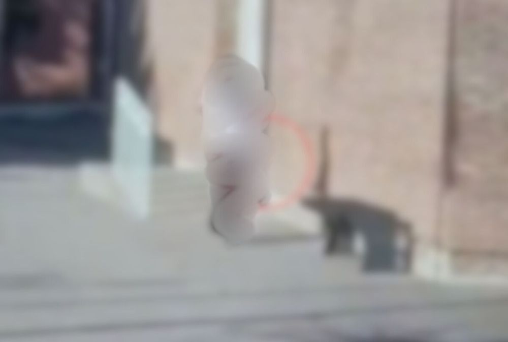 Menor atrincherada en La Paz. Una orden judicial impide publicar, difundir o divulgar imágenes o representaciones gráficas de la adolescente, de sus familiares directos, de su domicilio, de su establecimiento educativo, o de cualquier otro elemento contextual que permita su identificación directa o indirecta.