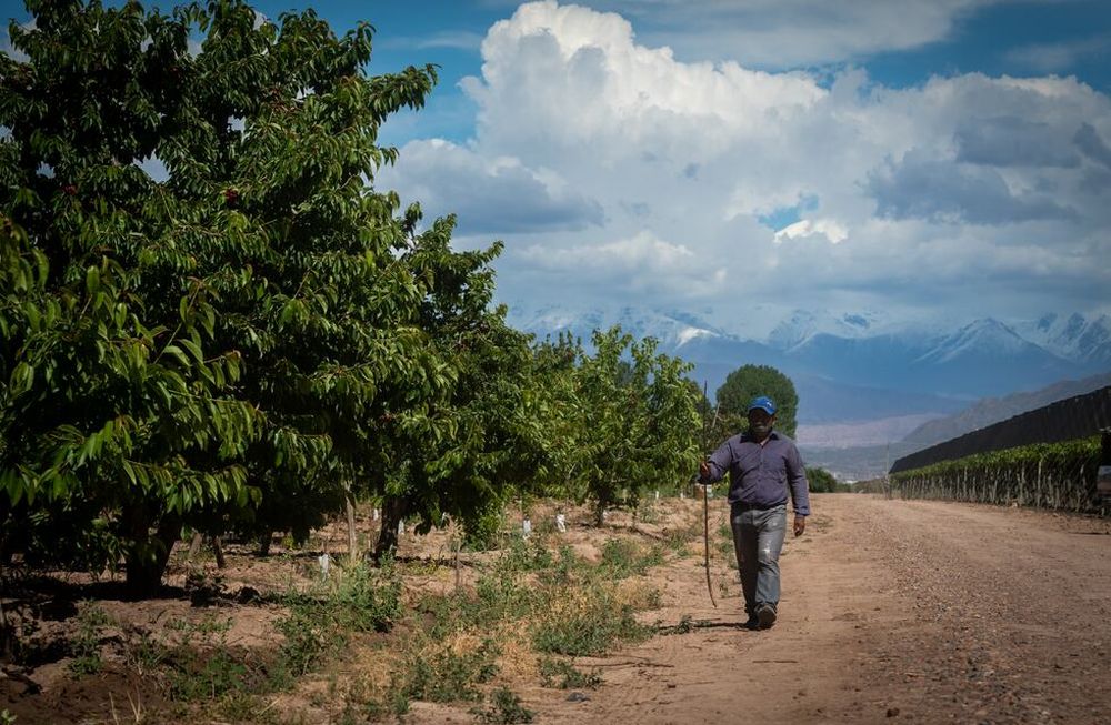 El clima para nuestra provincia tendrá nubosidad variable con tormentas hacia la noche. Ignacio Blanco / Los AndesFoto: Ignacio Blanco / Los Andes