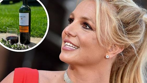 Britney Spears elogió a un Malbec mendocino en sus redes