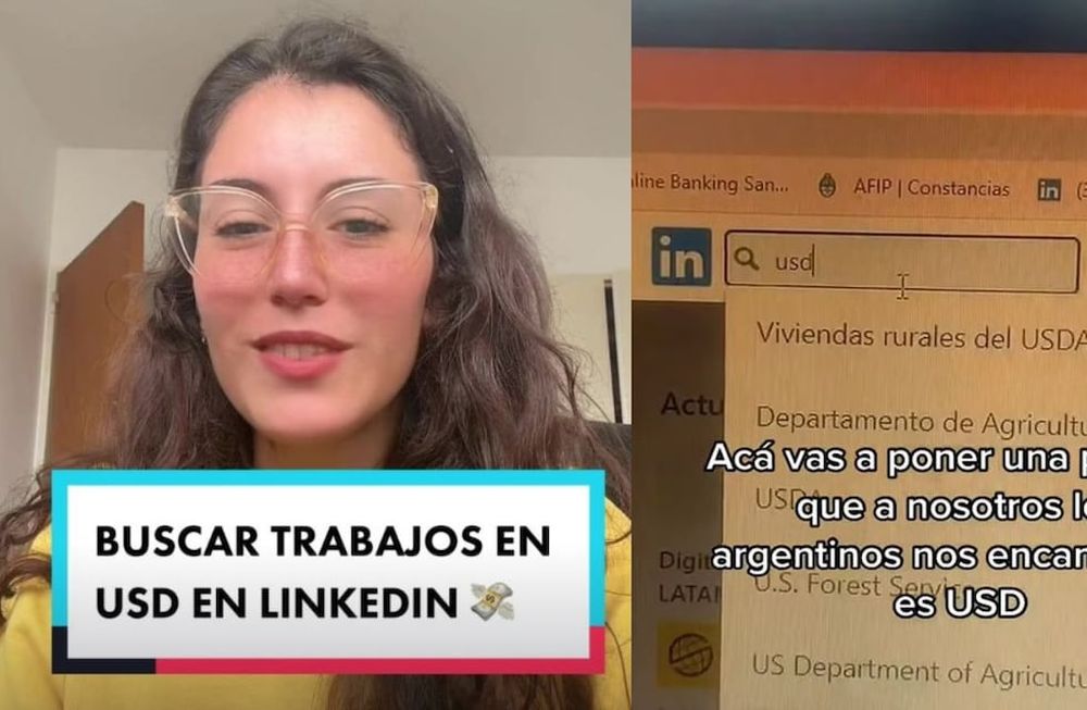 La usuaria reveló dos trucos para cobrar en dólares trabajando remoto. Foto: Captura TikTok (@tubestself)