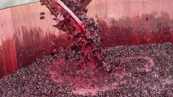 Desde el Banco de Vinos afirman que, en caso de prosperar la sanción, el mosto no exportado a Estados Unidos incrementaría el stock vínico en 100 millones de litros por año.