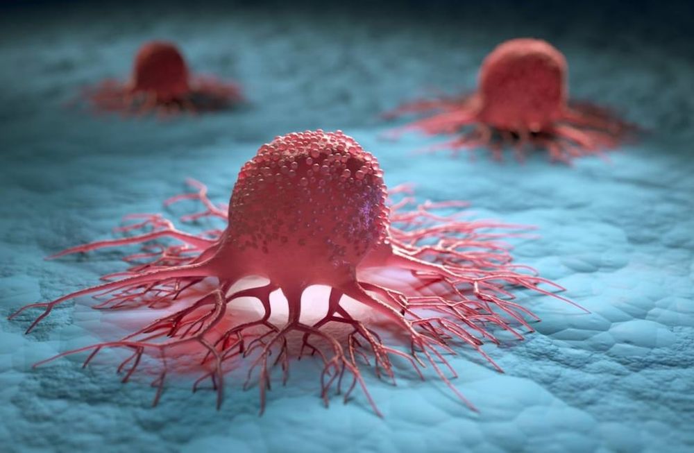 La identificación y estudio sistemático de los mecanismos de respuesta al estrés celular de las células cancerosas podrían ser utilizados para el desarrollo de terapias mejor adaptadas.