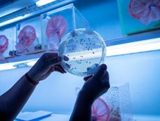 El Iscamen celebra su 30º aniversario con una jornada de ciencia, tecnología e innovación para el agro