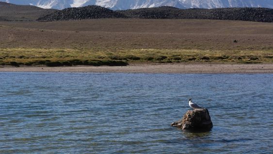 Fotos y video: la imponente Laguna del Diamante como nunca la viste