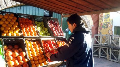 Importaciones: cuál es la fruta que ingresa desde Chile y cómo impacta en Mendoza