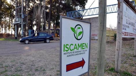 El Iscamen controla el ingreso de fruta al sur provincial