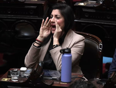 La diputada libertaria Juliana Santillán. La diputada libertaria Juliana Santillán.