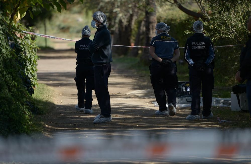 Núñez fue asesinado de 14 puñaladas en su casa, ubicada en Los Corralitos. El presunto asesino cayó a unos metros.