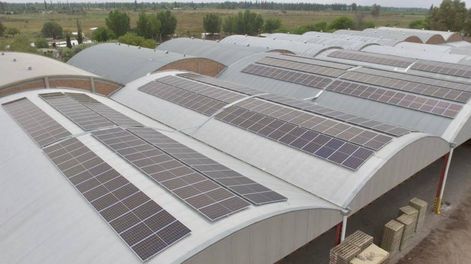 El frigorífico Friofrut en General Alvear genera con paneles solares alrededor de un 25% de la energía que consume.